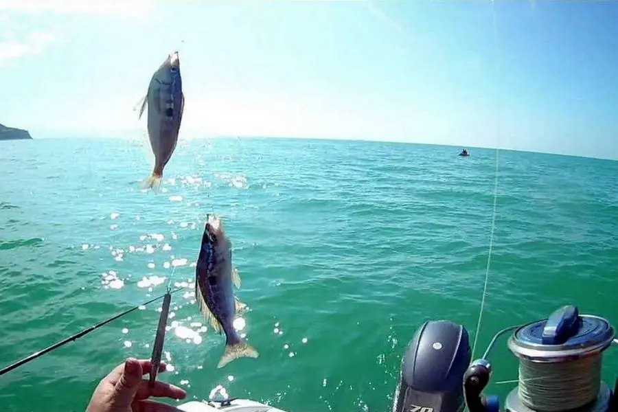 Fishing Spots Near Kotor